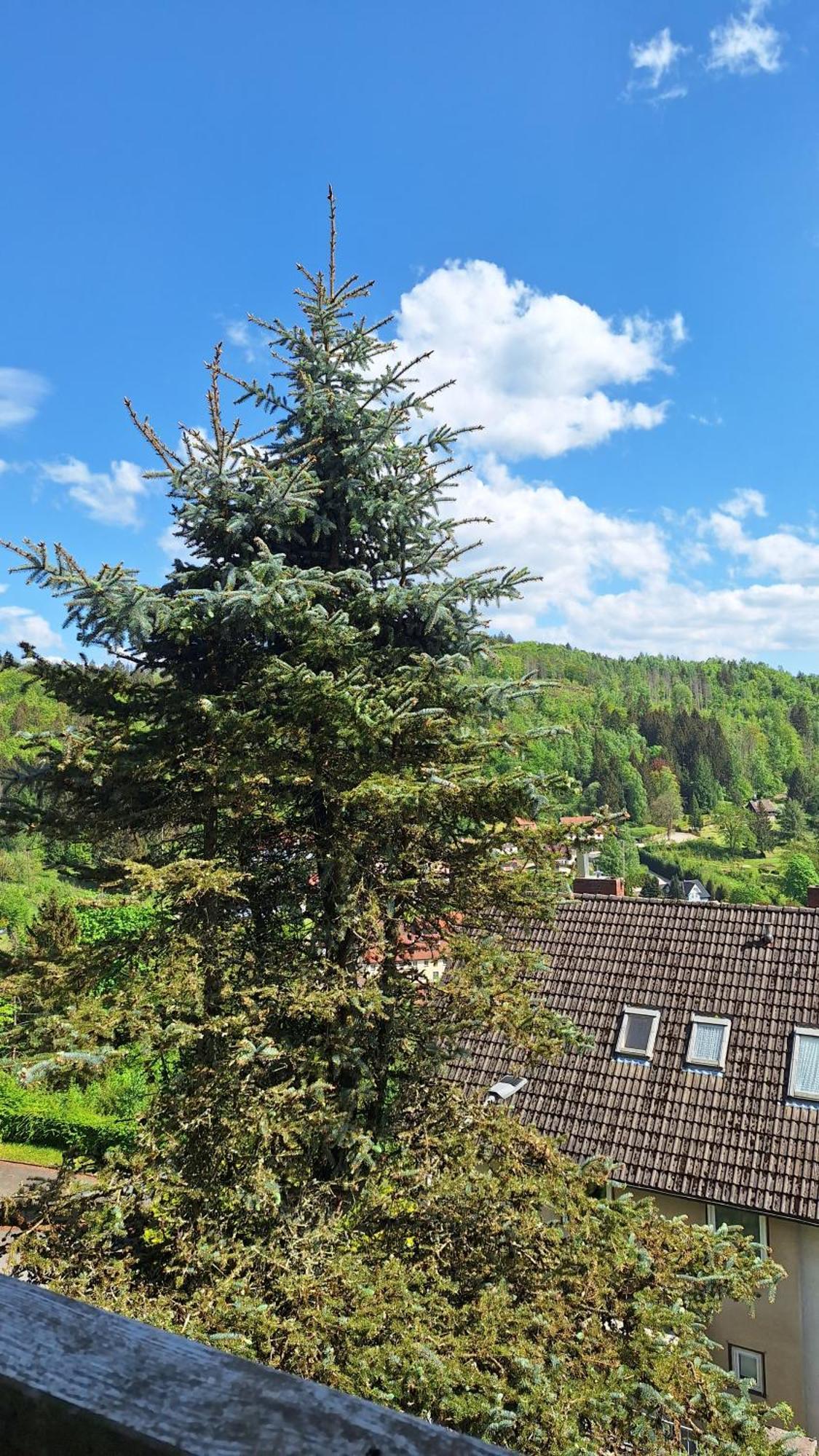 Haus Westharz Goslar Apartment Bad Grund Exterior photo